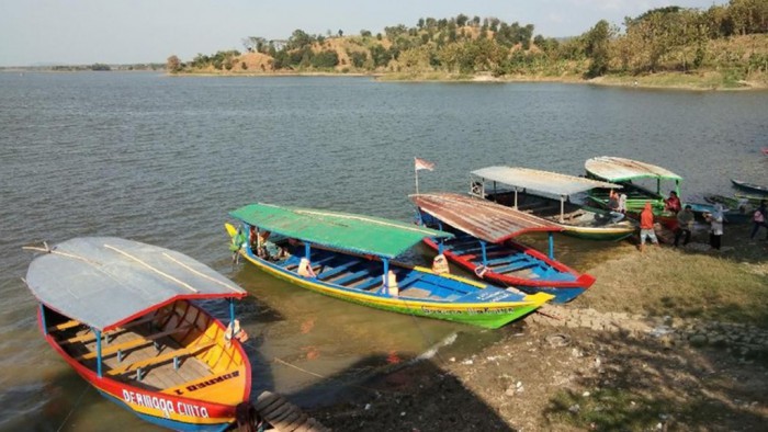 Ikan Predator Luar Jawa Ancam Ekosistem Waduk Cacaban