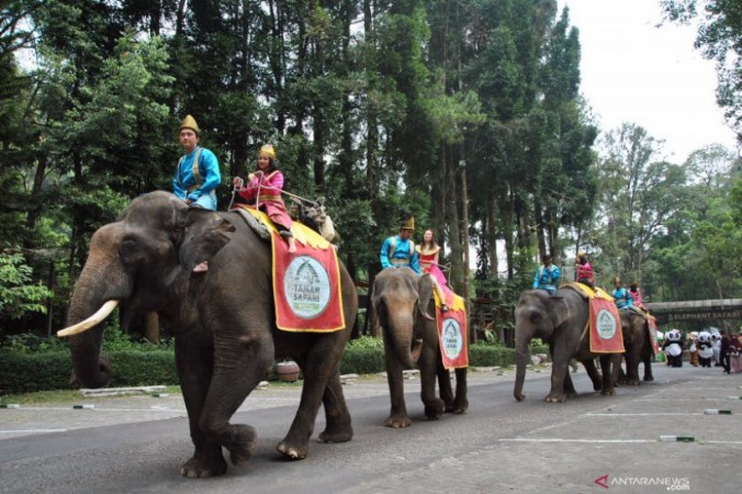 Rindu Jalan-jalan di Taman Safari Bogor? Kang Emil Bawa Kabar Bagus