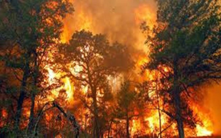 Juli Kemarau, BPBD Jateng Waspadai Kebakaran Gunung dan Hutan 