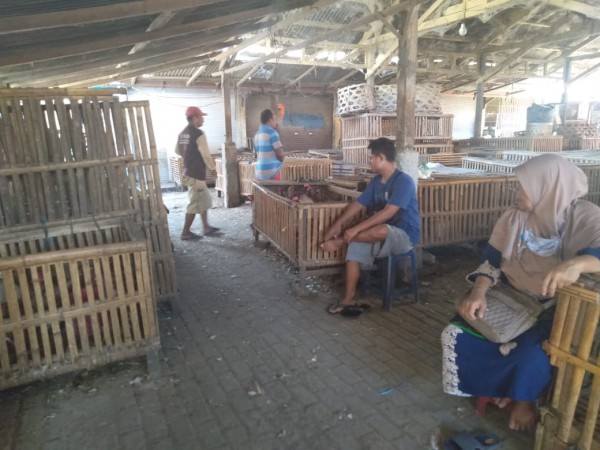 Harga Melonjak Drastis, Pedagang di Pemalang Mogok Jualan Ayam Potong