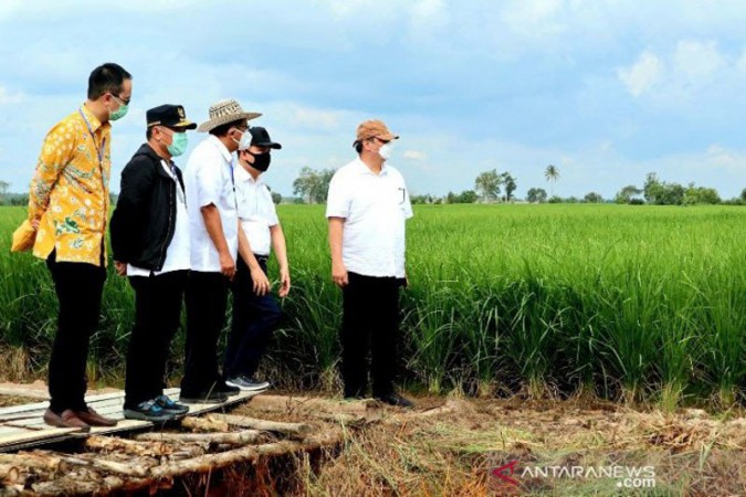 Prabowo Lebih Dipercaya Urusi Food Estate, Jokowi Kecewa pada Kinerja Menteri Pertanian