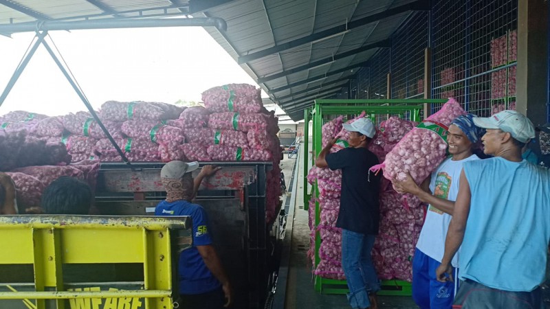 Perdana, 15 Ton Bawang Putih Diekspor ke Taiwan