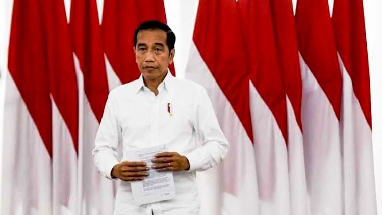 Presiden Jokowi Kalah Digugat Evi Ginting, Istana Tidak Ajukan Banding