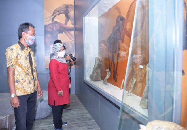 Tahun Depan Diresmikan,3.100 Fosil di Museum Semedo Kabupaten Tegal Siap Dipamerkan