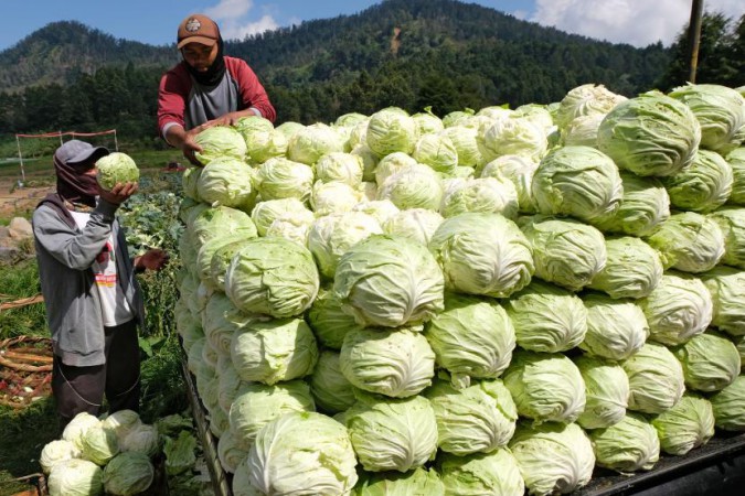 Bupati Wonosobo Wajibkan Pegawainya Beli Sayuran Petani Rp10 Ribu Seminggu