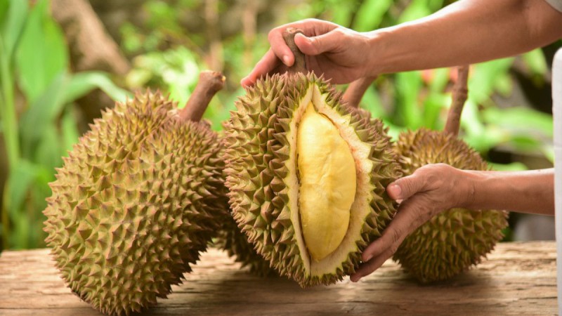 Di Indonesia Ditunggu-tunggu, tapi di Swedia Durian Masuk Daftar Makanan yang Menjijikkan