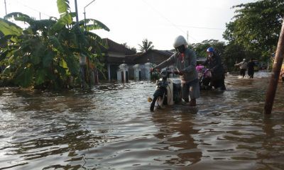 Banjir Cilacap Meluas, Ribuan Warga Mengungsi