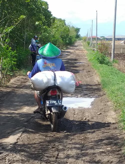 Mulai Rusak, Jalan Kabupaten Brebes di Kecipir Losari Dikeluhkan Warga