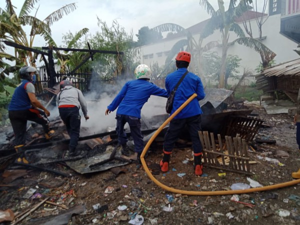 Diduga Akibat Percikan Api Pembakaran Sampah, Kandang Ayam di Brebes Terbakar