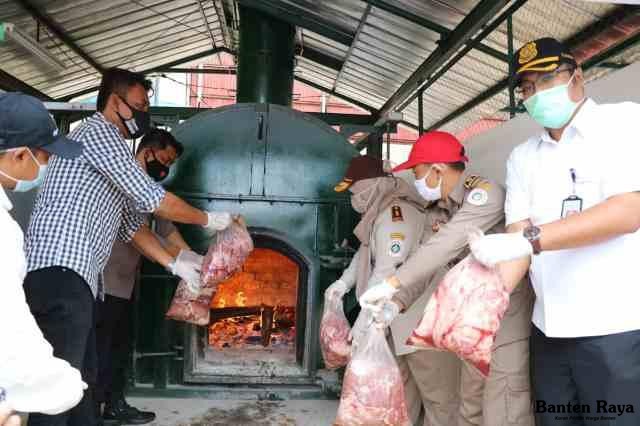 Nekat, Empat Ton Daging Celeng yang Mau Dioplos Daging Sapi Ditutupi Padi untuk Kelabui Petugas