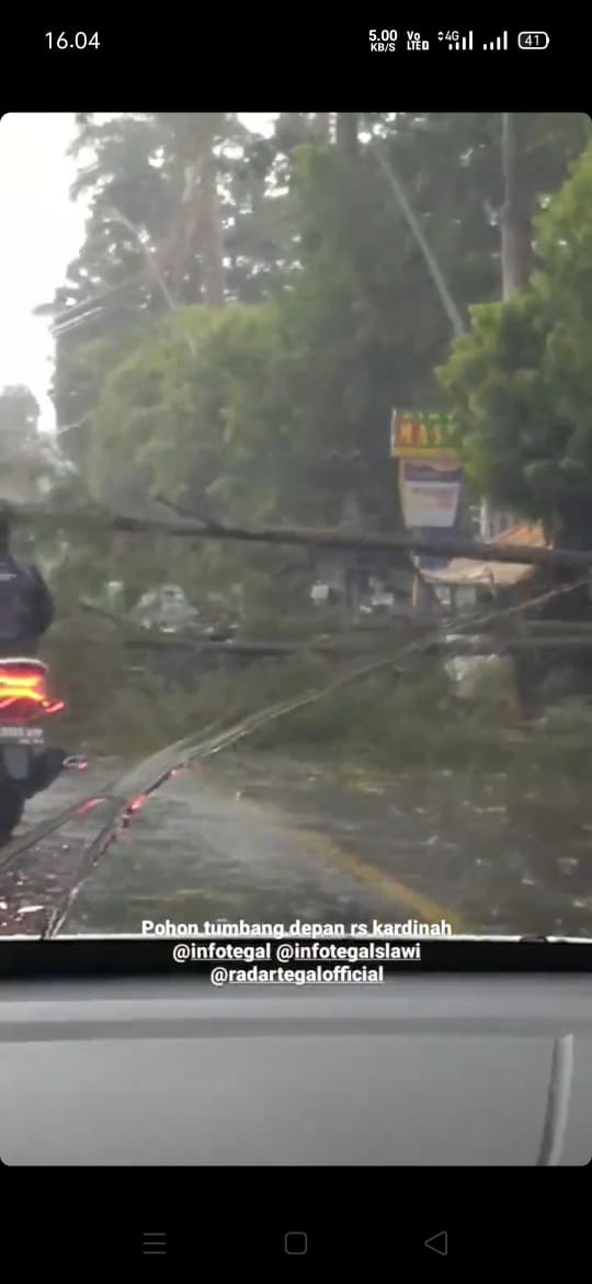 Angin Kencang, Pohon di Dekat Rumah Sakit Tumbang, Lalu Lintas di Kota Tegal Tersendat