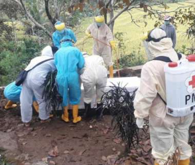 64 Kabupaten dan Kota Berisiko Tinggi Covid-19, Termasuk Tegal