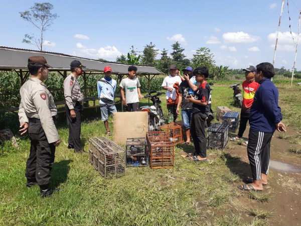 Hajatan dan Tiga Lomba Burung Dibubarkan Paksa, Polisi Pasang Garis Polisi