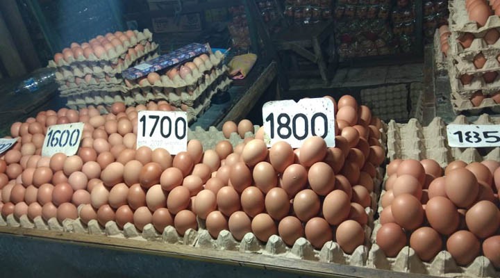 Jawa-Bali Dibatasi Lagi, Harga Telur Turun Per Kilogram Hanya Rp16 Ribu