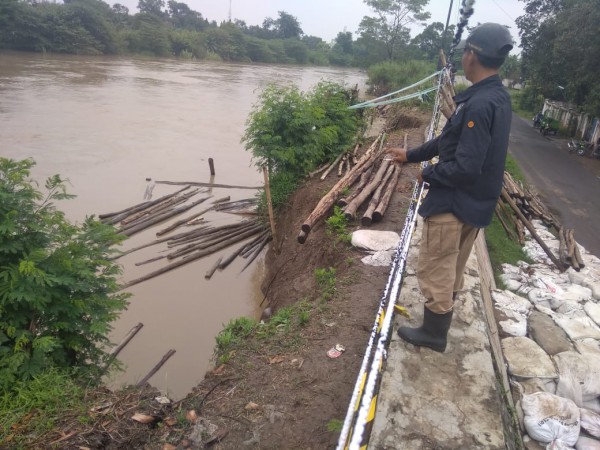 Ngeri! Tanggul Cisanggarung di Pekauman Losari Tinggal 50-an Sentimeter