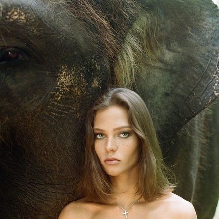 Naik ke Atas Gajah dan Berpose Tanpa Busana di Bali, Model Cantik Asal Rusia Diperiksa Polisi