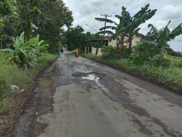 Aspal Banyak Mengelupas, Jalan Tarub Kabupaten Tegal Butuh Perbaikan