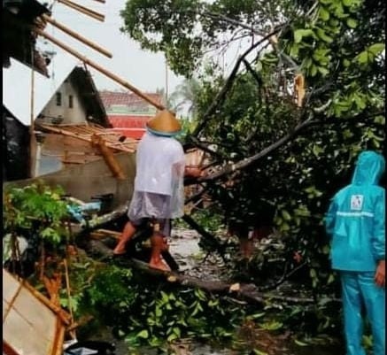 Angin Kencang Terjang Randudongkal, 15 Rumah Warga Rusak