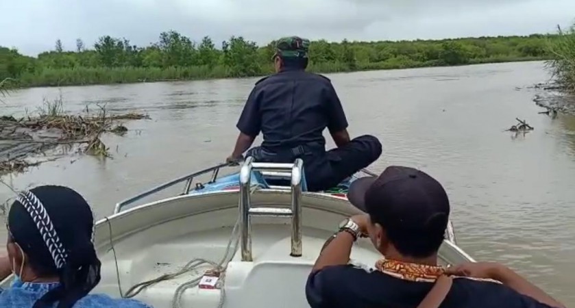 Cuaca Ekstrem,Hektaran Pohon Mangrove di Kaliwlingi Rusak