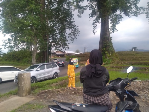 Jadi Simbol Penjaga, Randu Jajar Berumur Ratusan Tahun Jadi Spot Selfie Baru di Pemalang