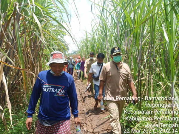 Main dengan Dua Temannya, Dua Bocah di Pemalang Hilang Misterius di Hutan Jati