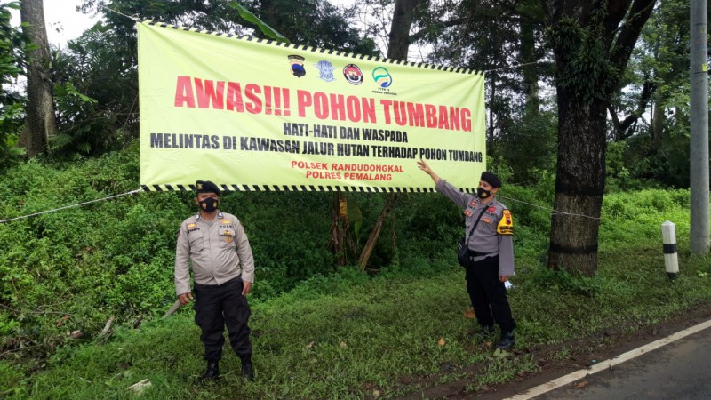 Tiga Spanduk Besar Dipasang di Sekitar Lokasi Pohon Tumbang Pemalang