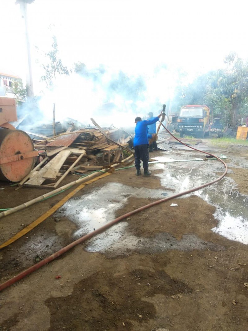 Gara-gara Sarang Tawon, Gudang Material Milik Anggota DPRD Kabupaten Tegal Terbakar, Rugi Rp300 Juta!
