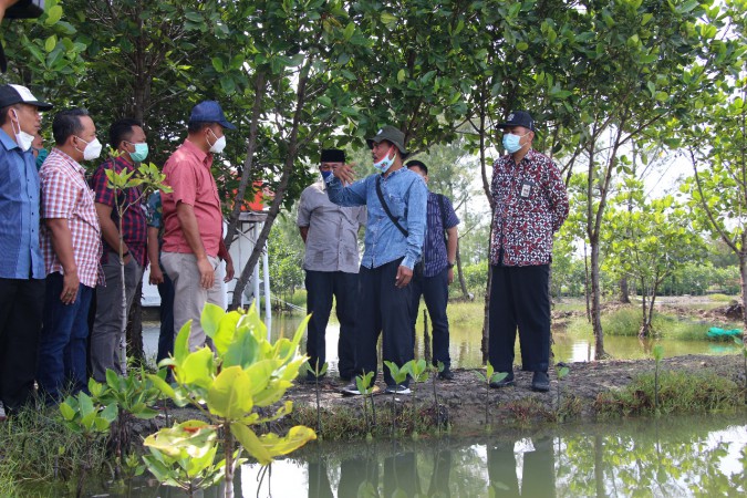 Persiapan Pusat Unggulan Mangrove di Brebes Sudah Matang