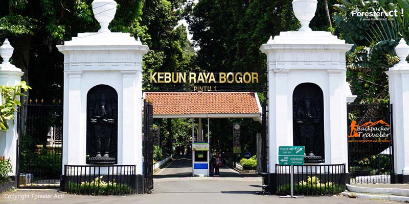 Lompat Pagar Coba Susupi Istana Kediaman Jokowi, Pria di Bogor Ditangkap Tentara dan Paspampres