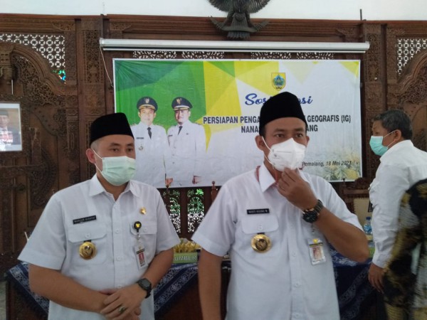 Bupati Pemalang Patenkan Nanas Madu sebagai Produk Daerah