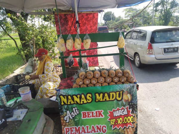 Sejak Patung Alun-alun Pemalang Diganti, Keluarga Harti Kompak Jualan Nanas Madu