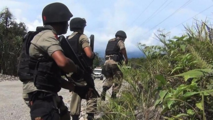 KKB Papua Punya Sniper Standar Perang, Pengamat Teroris: Ini Bakal Sulit Ditaklukkan TNI-Polri