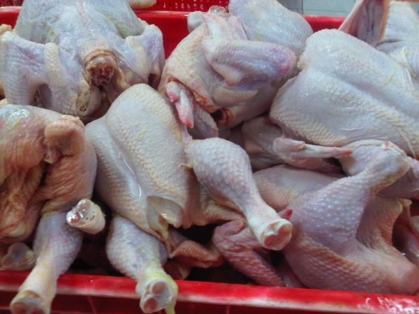 Indonesia Kalah, Pedagang Ayam Keliling Harus Bersaing dengan Ayam dari Brasil