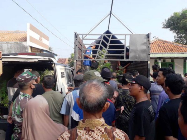 Kebun Hidroponik Ganja di Brebes Digerebek, Pemodal dan Penanamnya Ditangkap