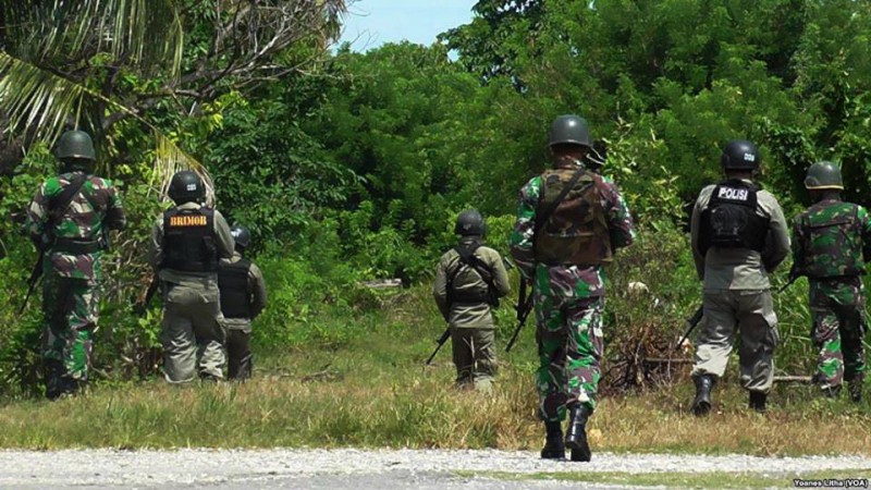 Kocar-kacir, Tiga Anggota KKB Lekagak Telenggen Tewas Tertembak Pasukan TNI-Polri