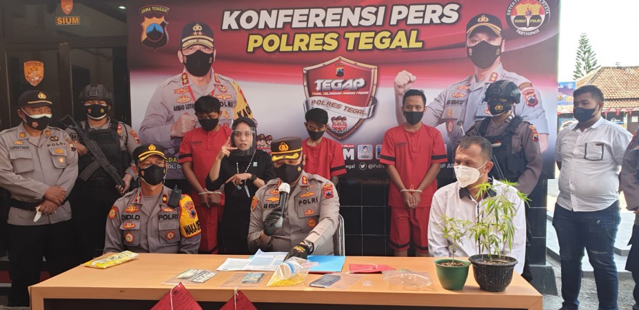 Geledah Rumah Pengedar Pil Koplo, Polisi Malah Temukan Tanaman dan Biji Ganja