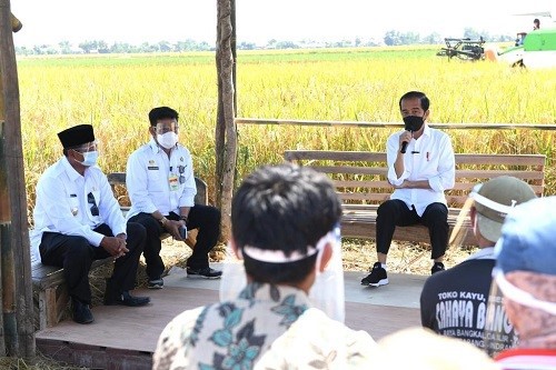 Presiden Jokowi Tinjau Panen Padi dan Berdialog dengan Petani di Indramayu