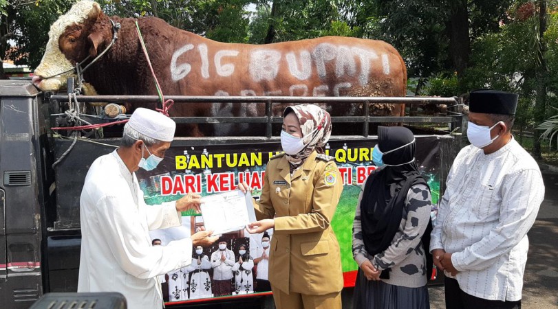 Bupati Idza Serahkan Hewan Kurban Seberat 1,2 Ton