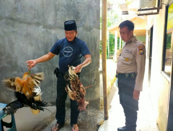 Lebaran Malah Main Judi, Polisi Bersenjata Datang, Pelaku Kocar-Kacir