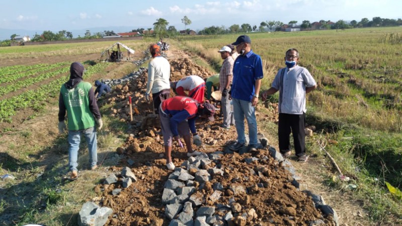 Anggota DPRD Brebes Tingkatkan Hasil Pertanian Lewat Aspirasi JUT
