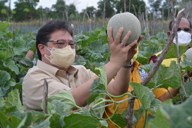 Menko Airlangga Apresiasi Terobosan Pemda Kalsel, Bantu Isoman Covid-19 dengan Hasil Panen Petani