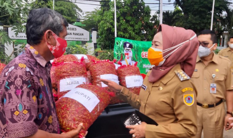 Harga Anjlok dan Bikin Rugi, Bupati Minta PNS di Brebes Borong Cabai dari Petani