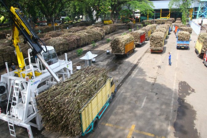 Miris, Ternyata Indonesia Pengimpor Gula Terbesar di Dunia