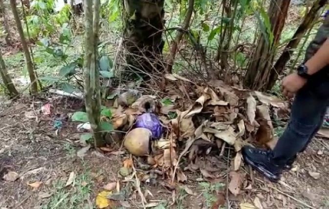 Orangtua dari Bocah Korban Pesugihan Disebut Saksi Kerap Kesurupan usai Minum Air Kelapa