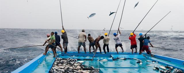 Tahun Depan, Tangkap Ikan di Laut Indonesia Akan Dibatasi