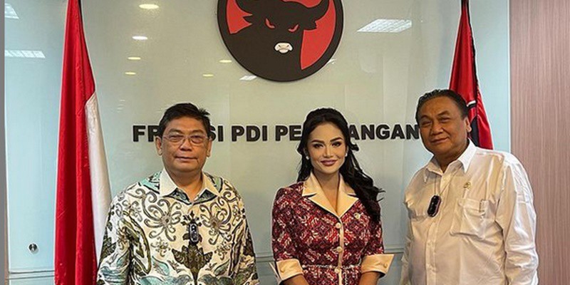 Blak-blakan ke Publik soal Gaji, Krisdayanti Bantah Ditegur PDIP, Masinton: Ada Beberapa yang Perlu Diluruskan