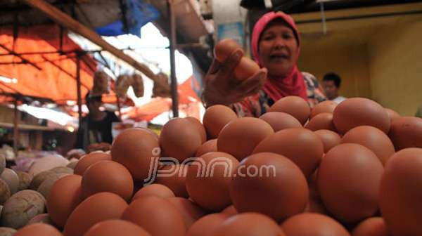 Harganya Anjlok, Pemerintah Bakal Borong Telur Peternak untuk Bansos