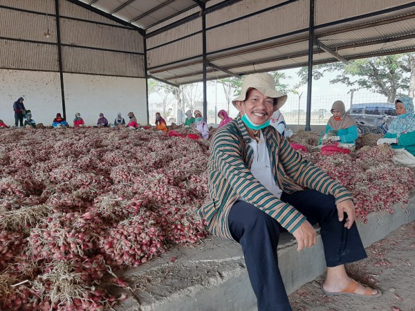 Beredar Kabar Petani Buang Bawang Merah, Ketua ABMI: Itu Bukan di Brebes