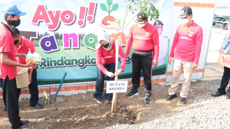 Sumpah Pemuda, Bupati Brebes Idza Priyanti Ajak Warganya Tanam Pohon