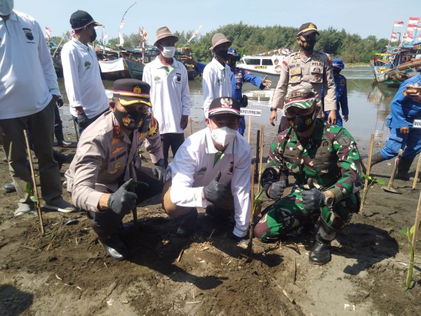 Mageri Segoro, 5.000 Mangrove Ditanam di Sepanjang Pantai Muara Indah Pemalang